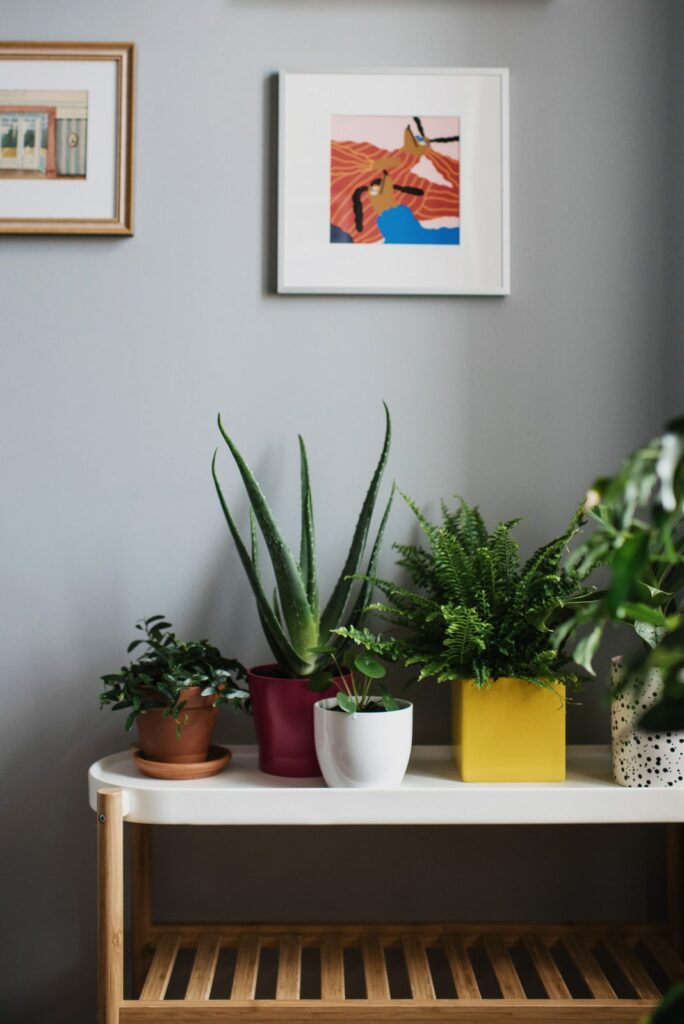 House plants in side table