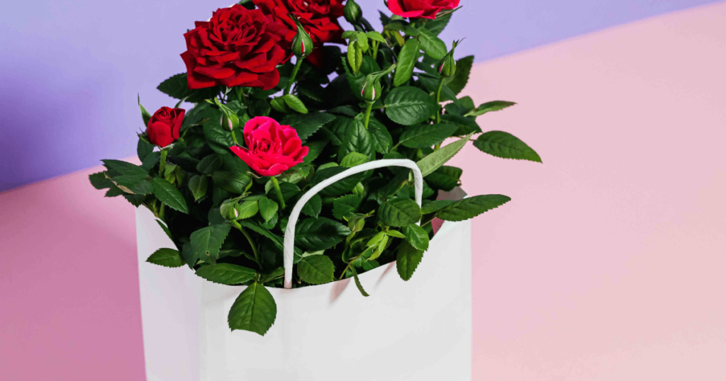 online shopping to send flowers